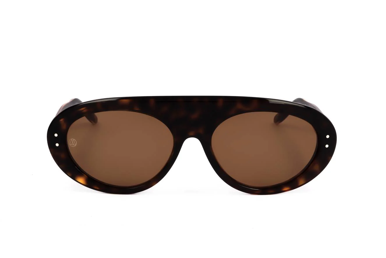 8000 Eyewear BOMBARDINO HAVANA 1Y6 - Image 2