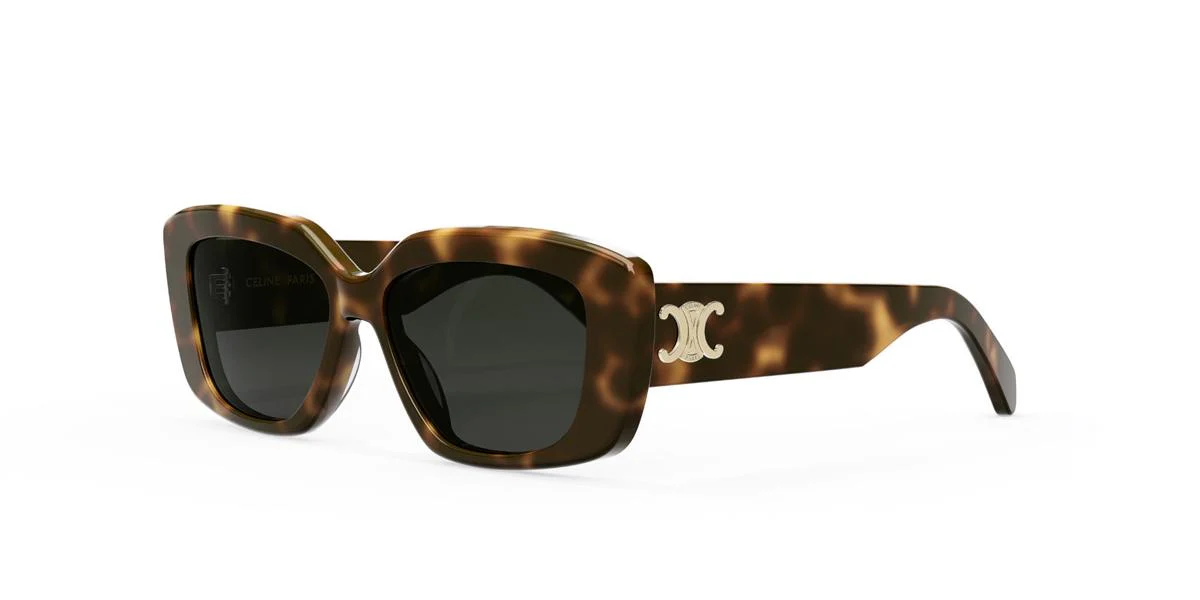 Celine TRIOMPHE CL40216U - Image 2