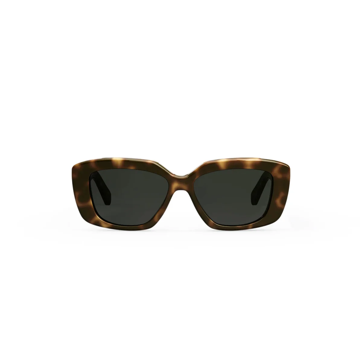 Celine TRIOMPHE CL40216U - Image 5