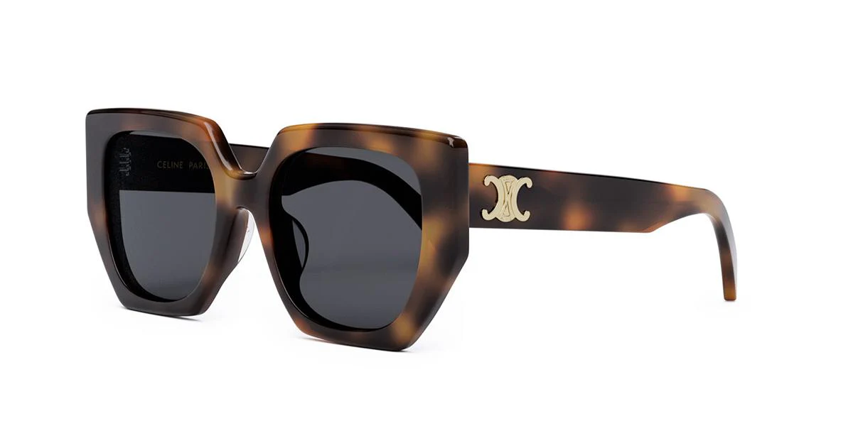 Celine TRIOMPHE CL40239F - Image 2