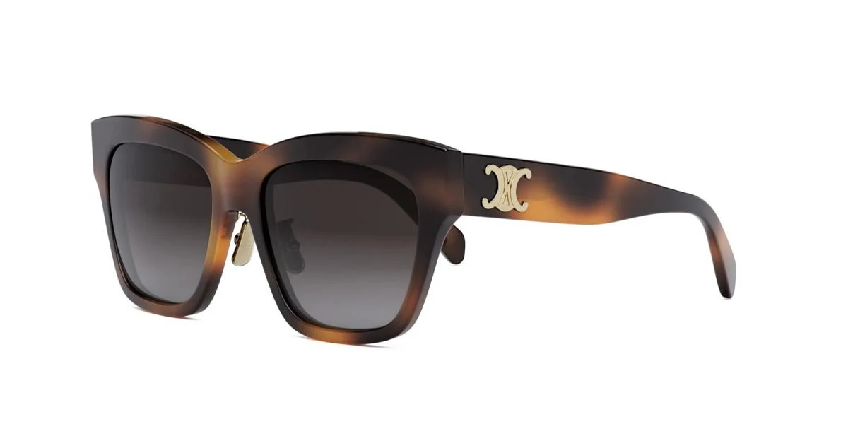 Celine TRIOMPHE CL40253F