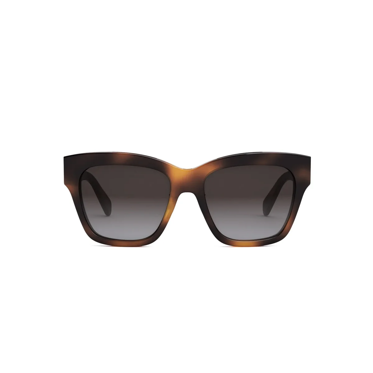 Celine TRIOMPHE CL40253F - Image 3