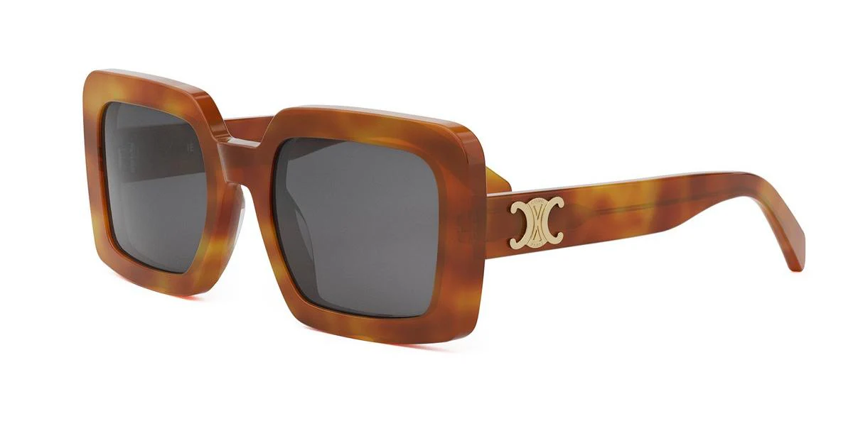 Celine TRIOMPHE CL40304U - Image 2