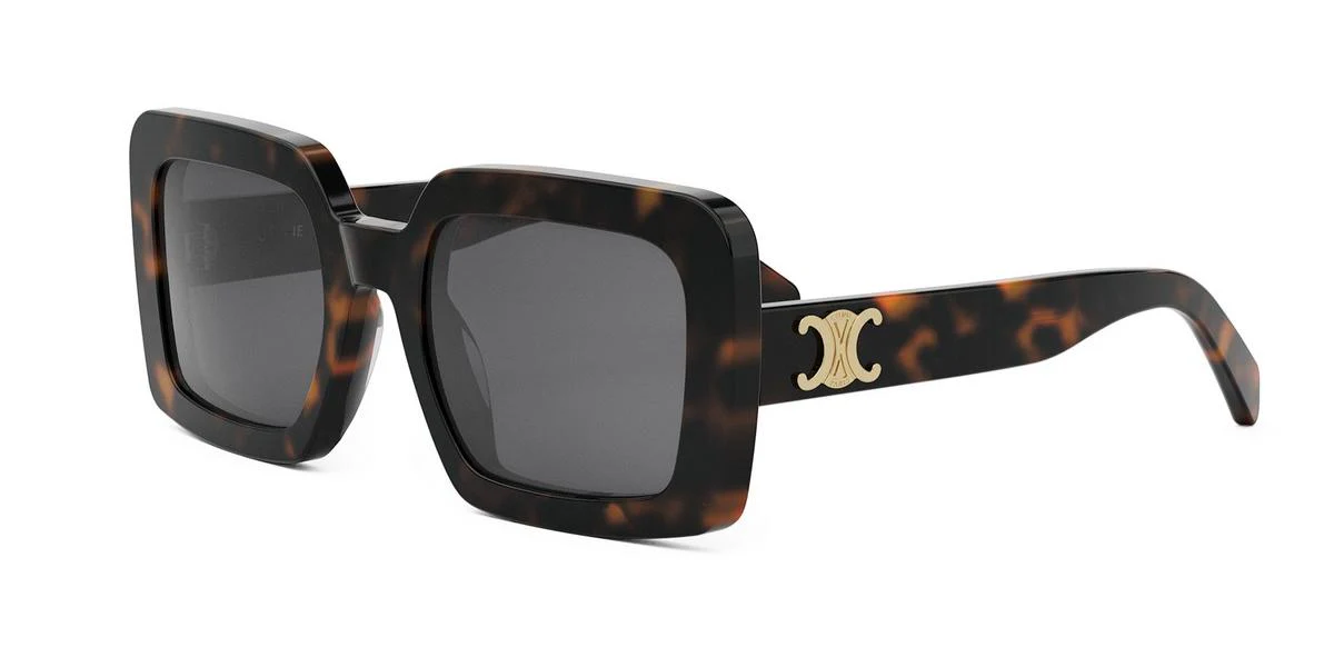 Celine TRIOMPHE CL40304U - Image 3