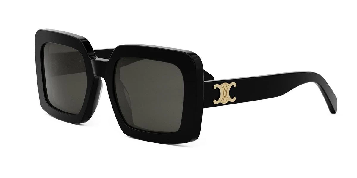 Celine TRIOMPHE CL40304U - Image 5