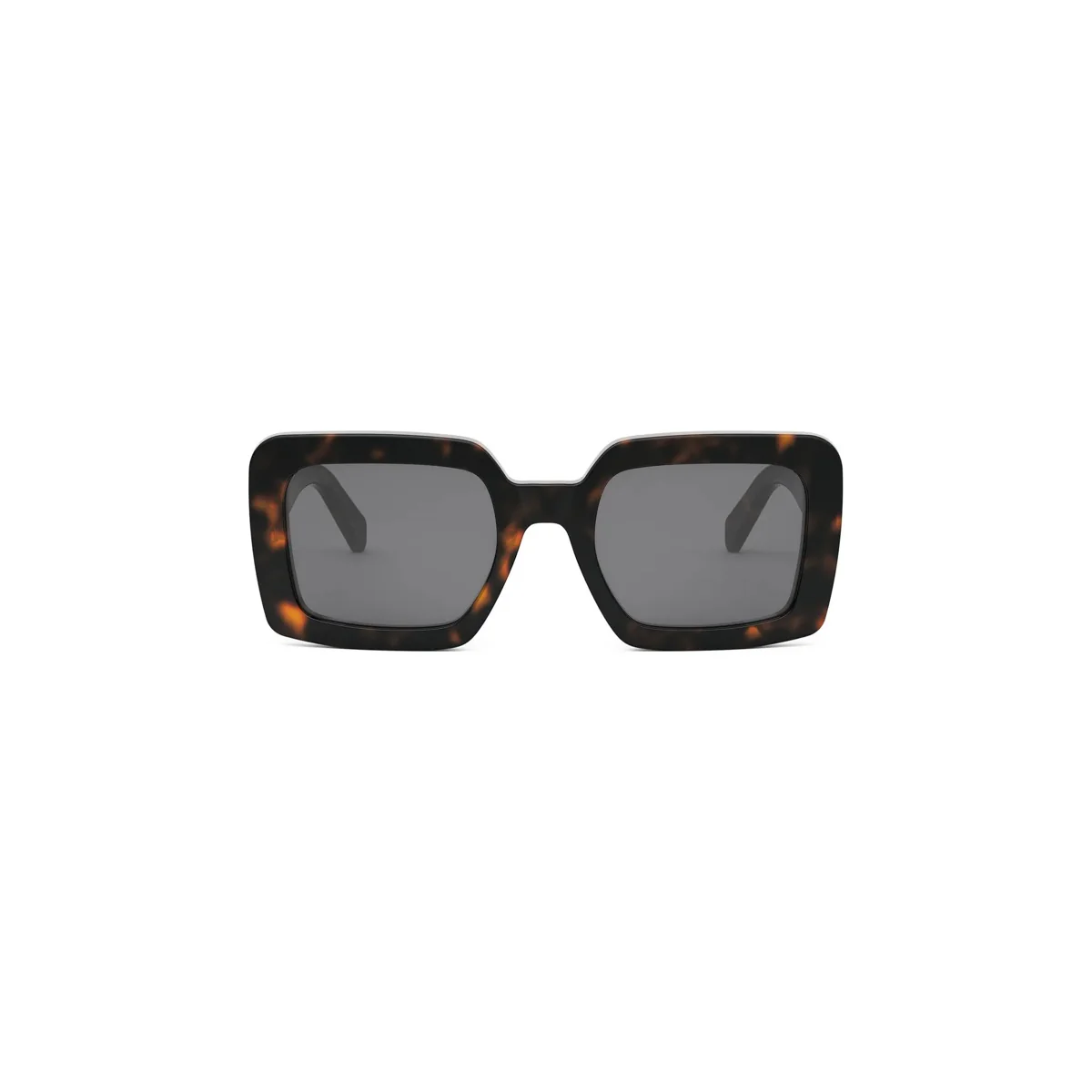 Celine TRIOMPHE CL40304U - Image 6