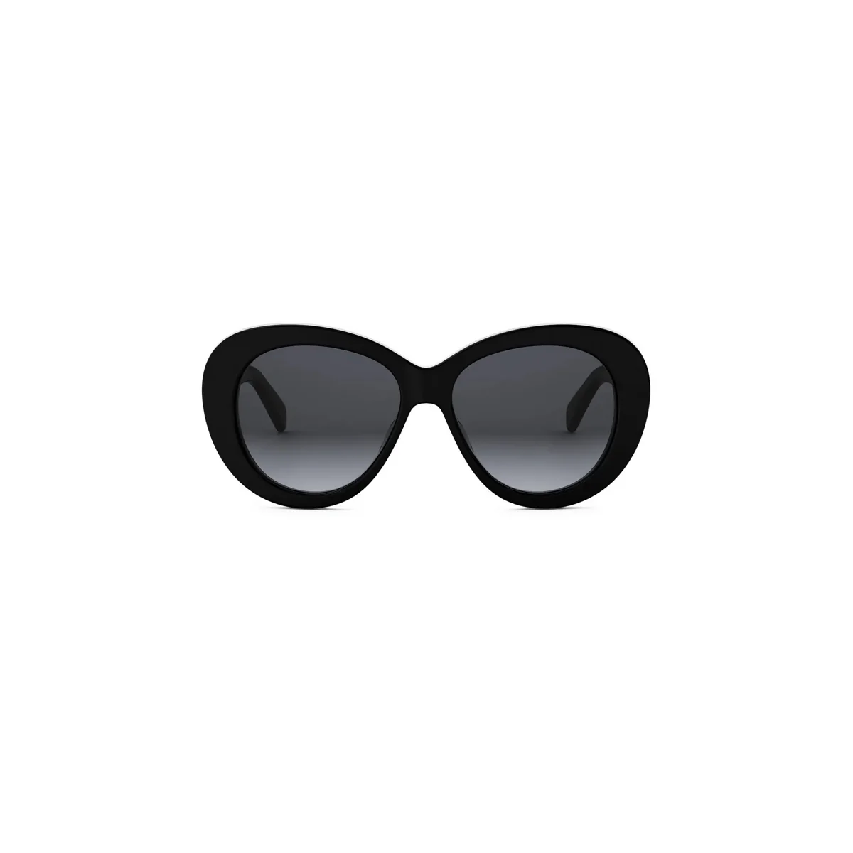 Celine TRIOMPHE CL40317U - Image 6