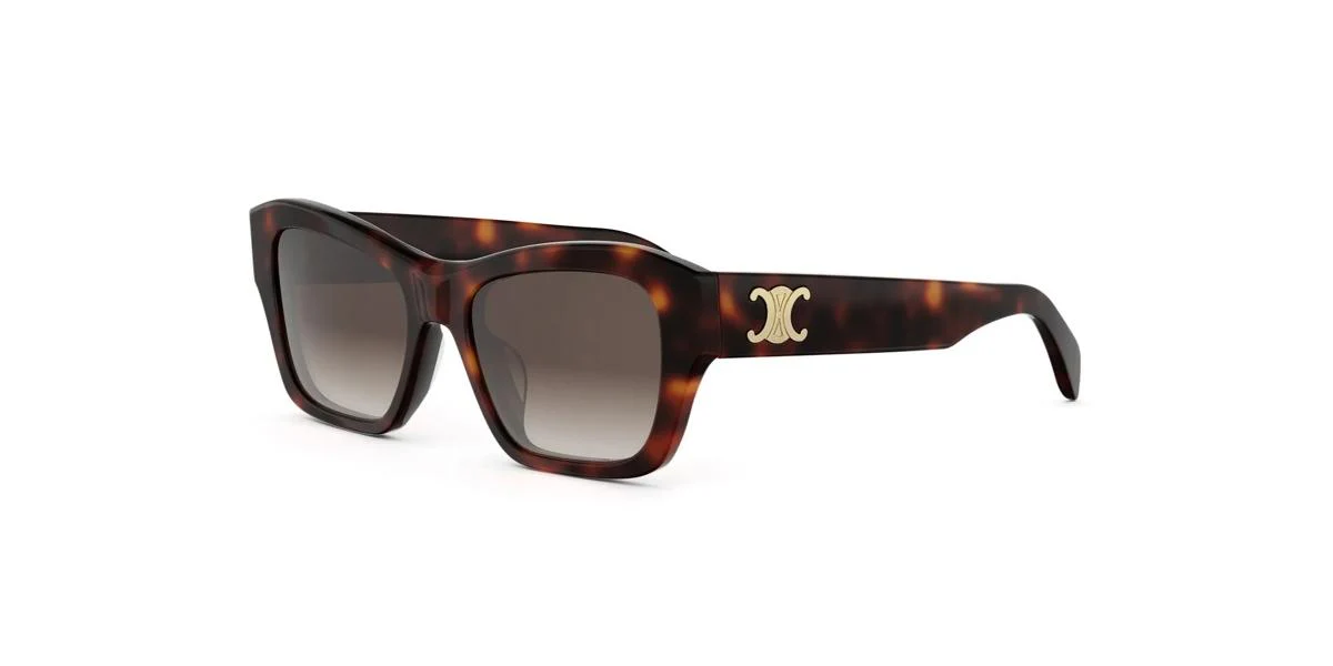 Celine TRIOMPHE CL40330U