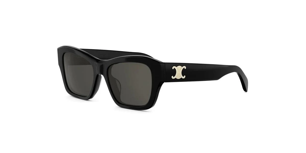 Celine TRIOMPHE CL40330U - Image 2