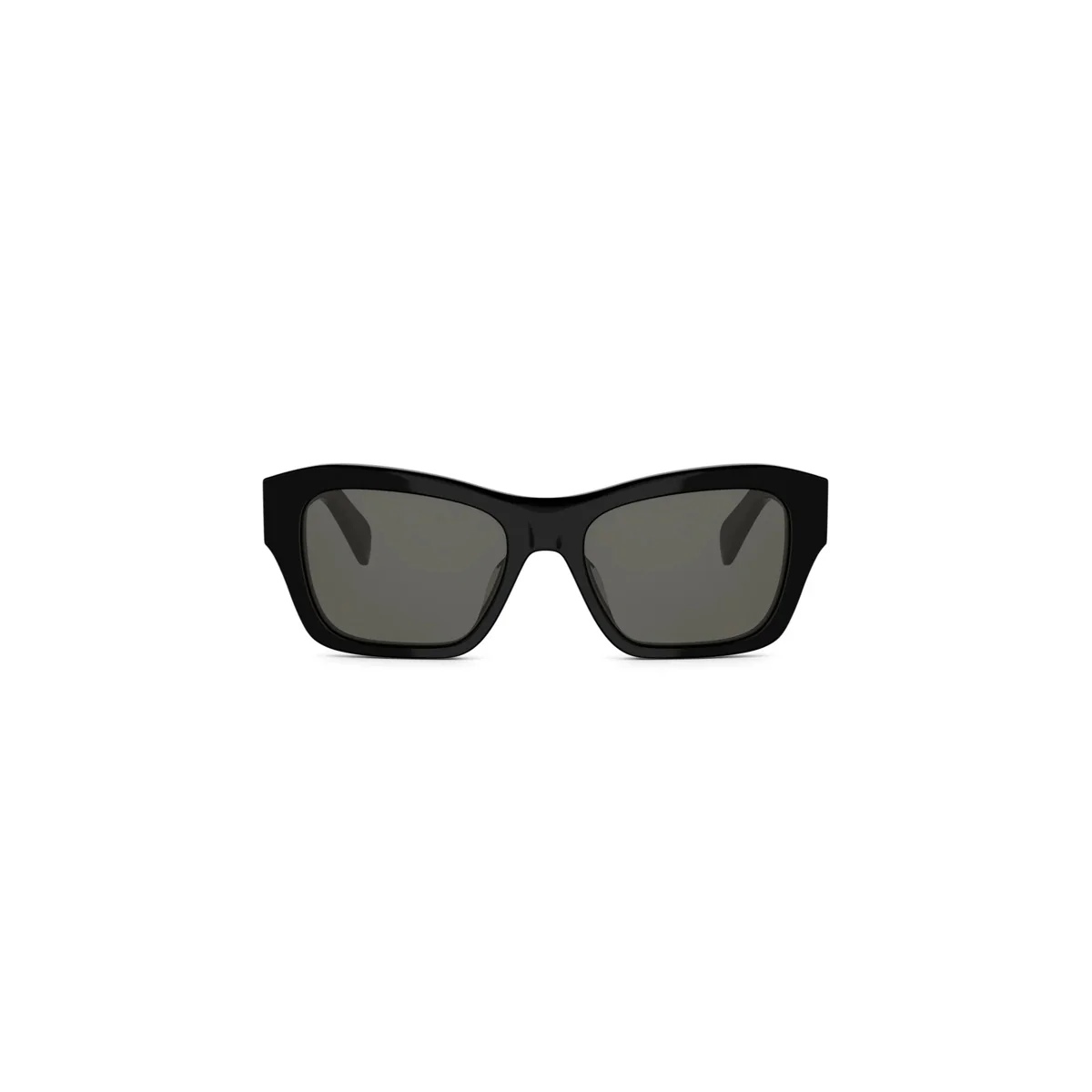 Celine TRIOMPHE CL40330U - Image 4
