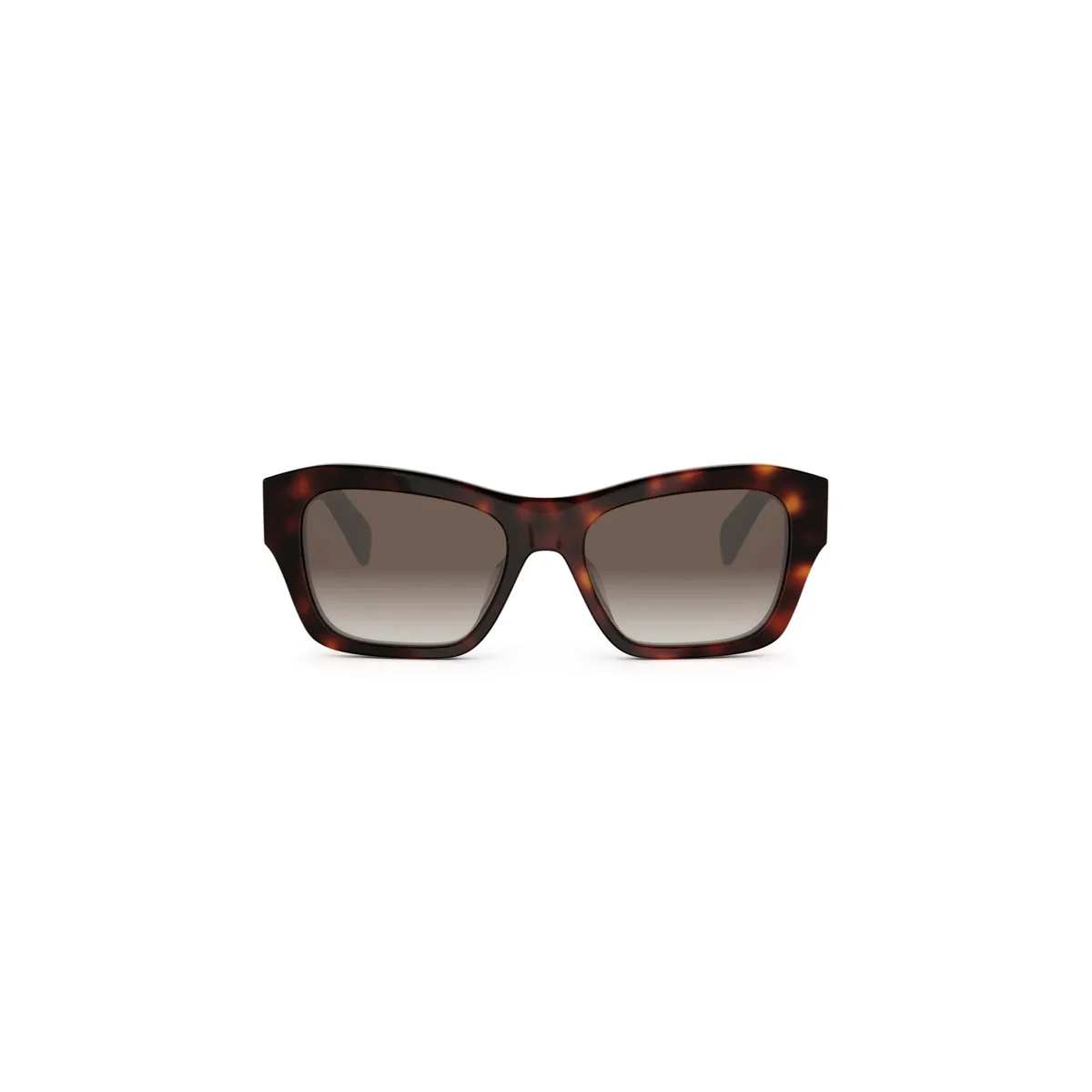 Celine TRIOMPHE CL40330U - Image 6