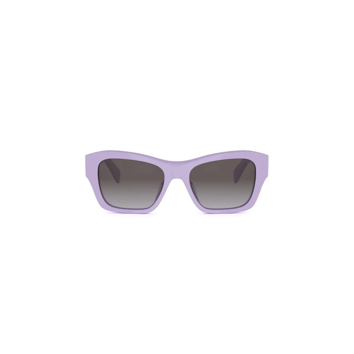 Celine TRIOMPHE CL40330U - Image 8