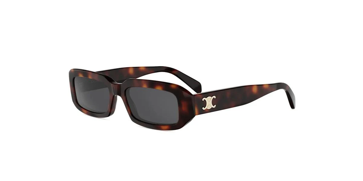 Celine TRIOMPHE CL40335I - Image 2