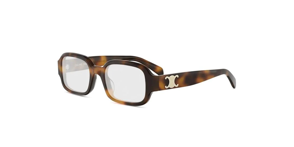 Celine TRIOMPHE CL50173I - Image 2