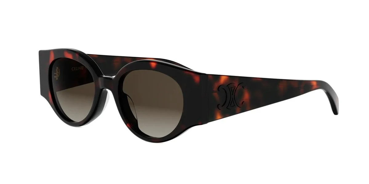 Celine TRIOMPHE STAMP CL40341U - Image 2