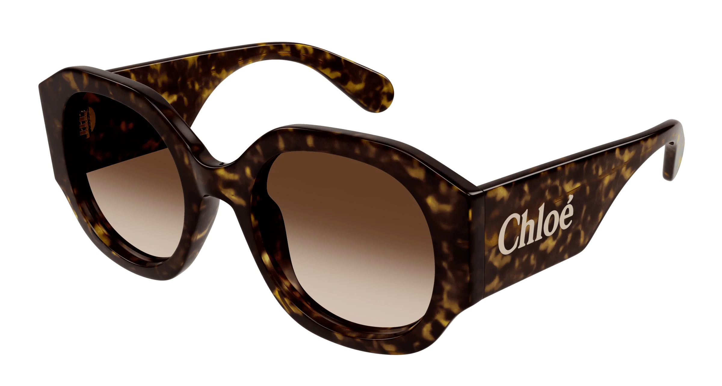 Chloé CH0234S - Image 2