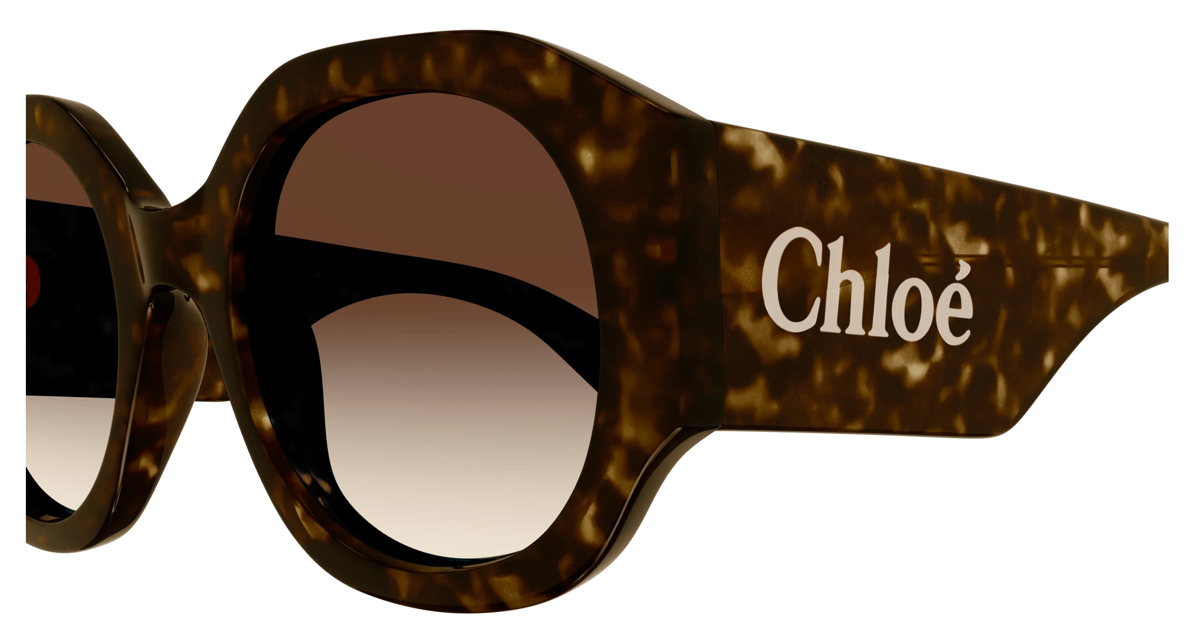Chloé CH0234S - Image 4