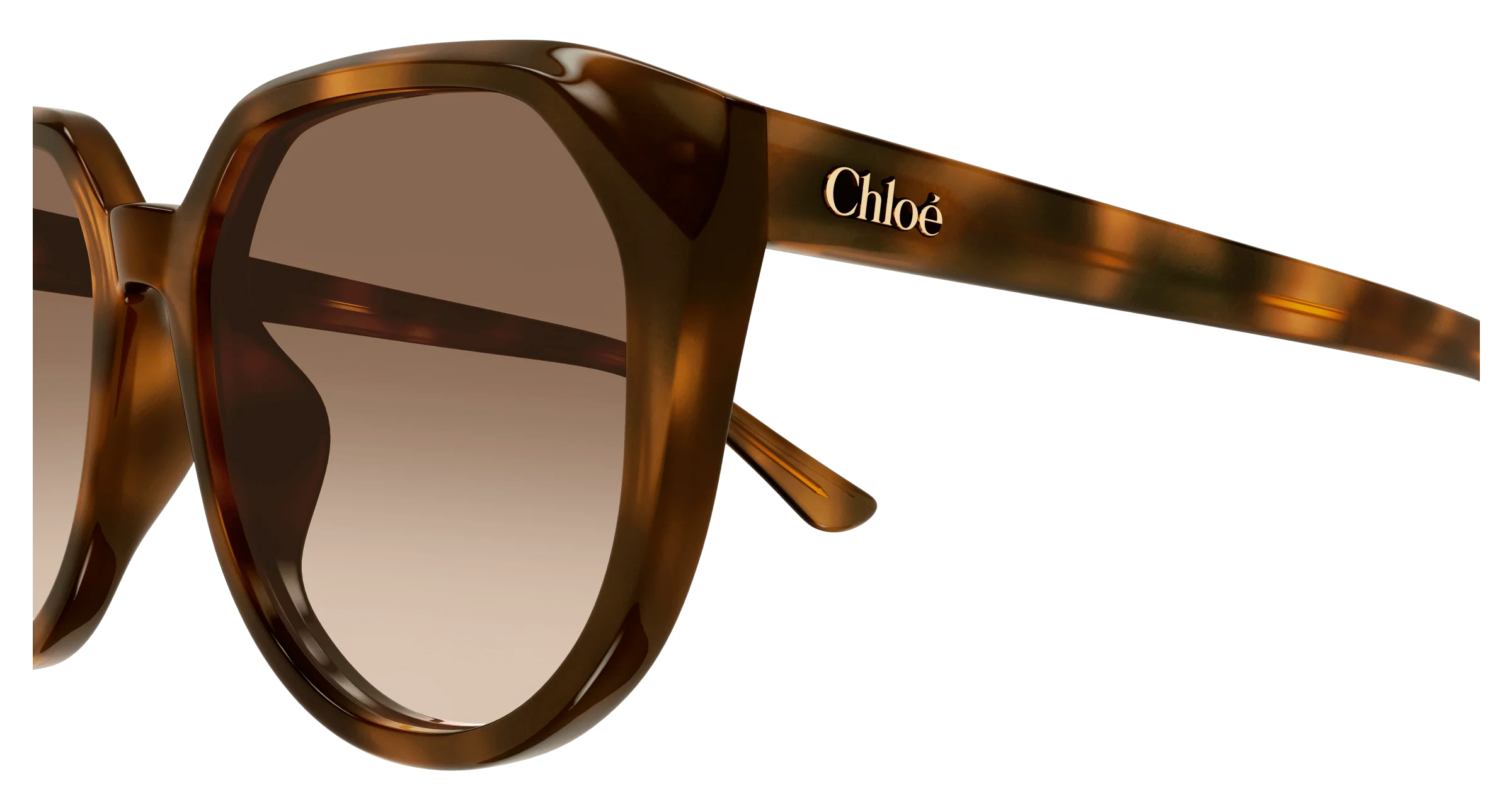 Chloé CH0291SK - Image 6