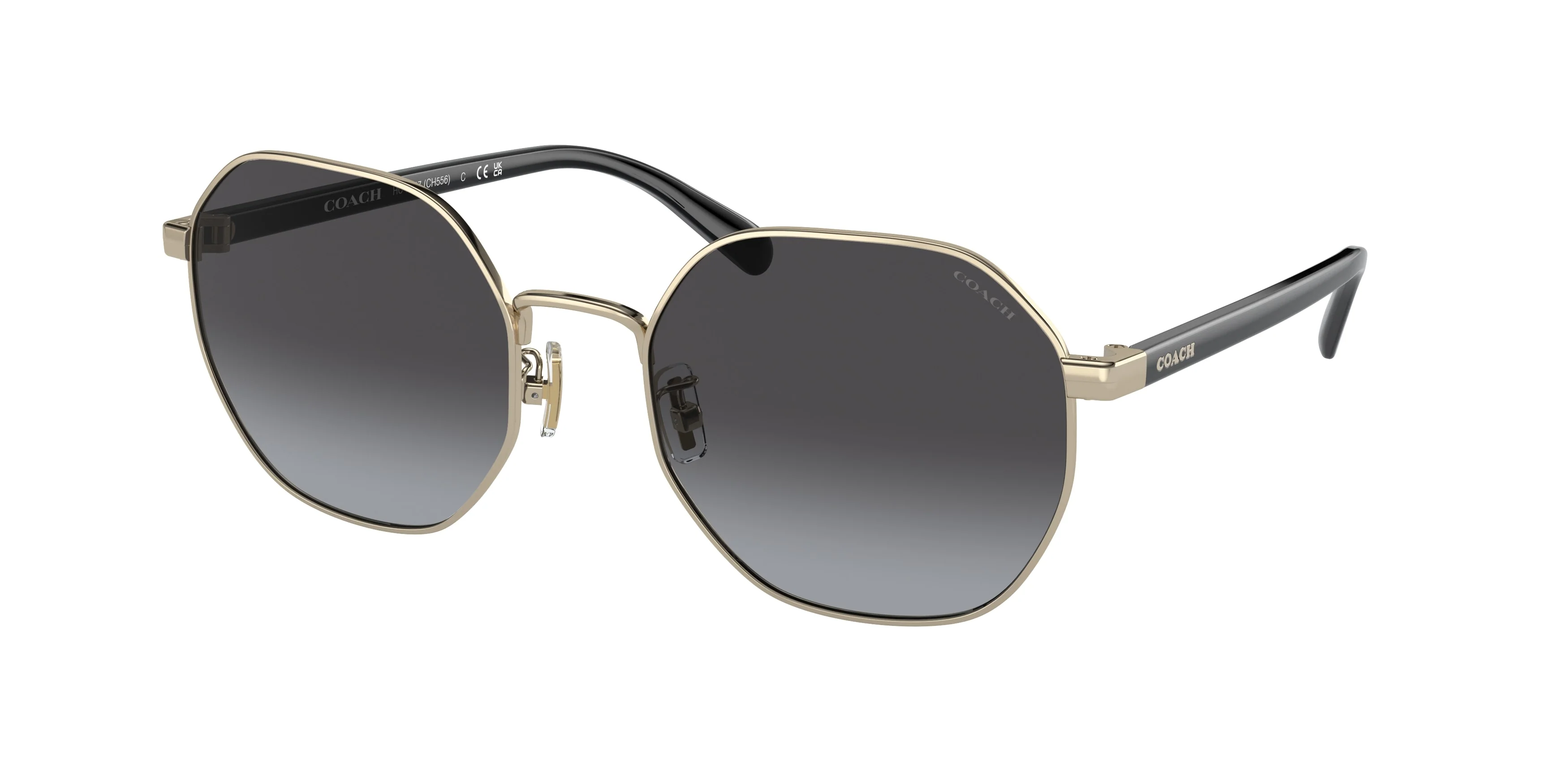 Coach 0HC7147 CH556 - Image 2