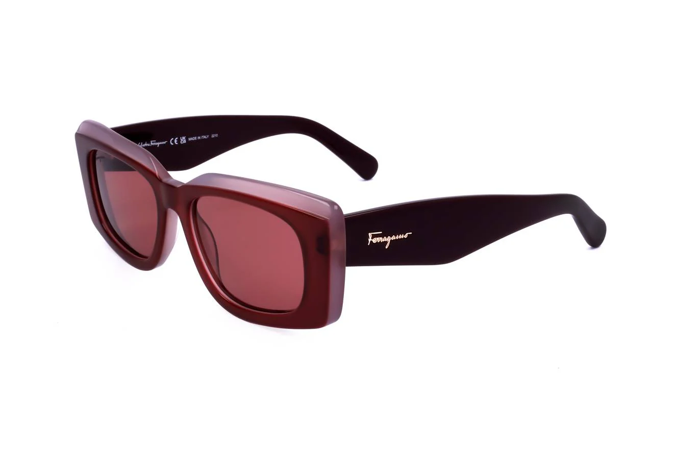Ferragamo SF1079S 614