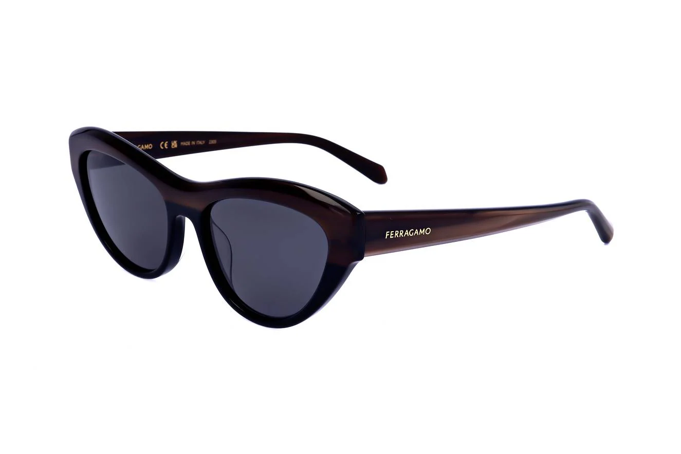 Ferragamo SF1103S 217