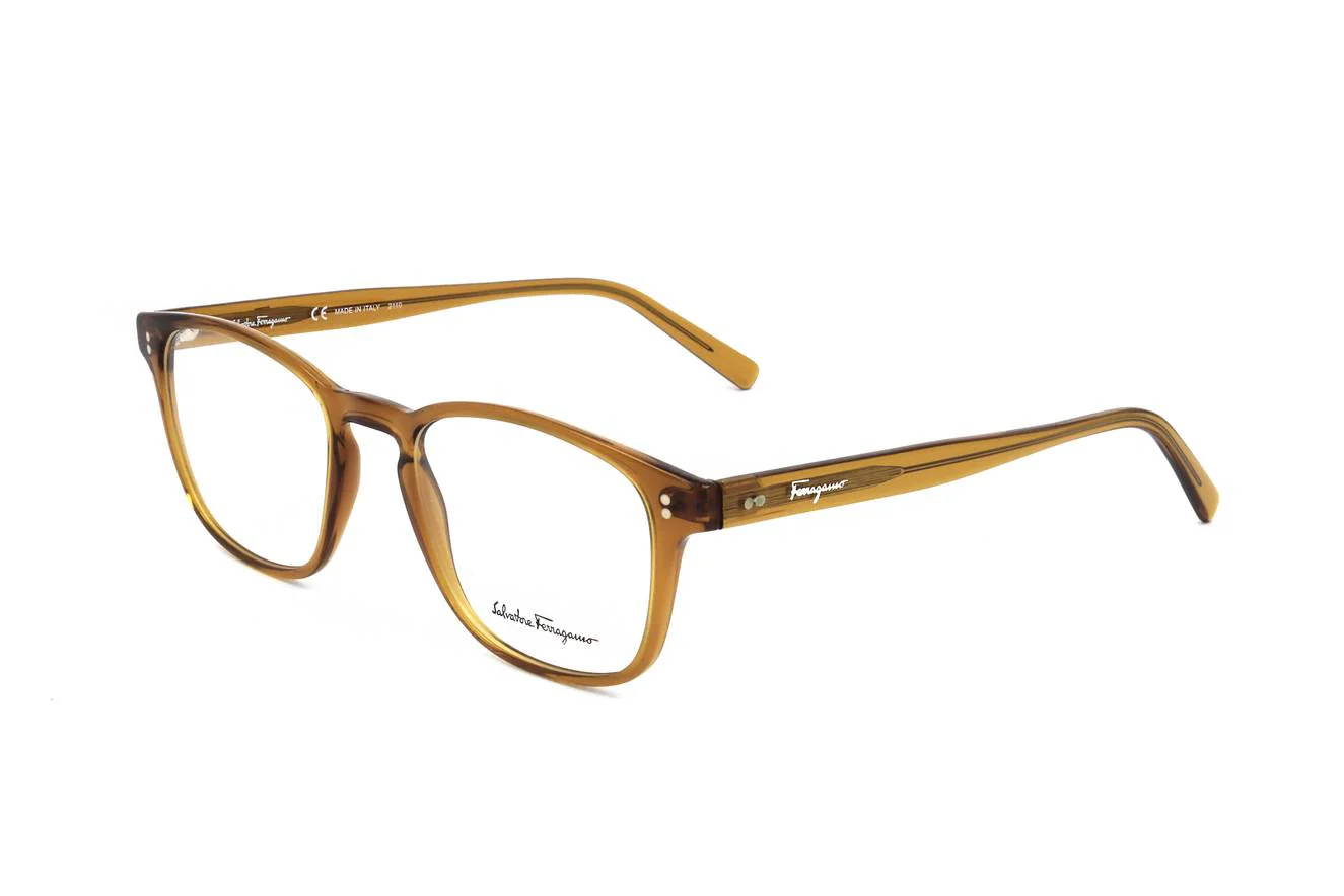 Ferragamo SF2913 219