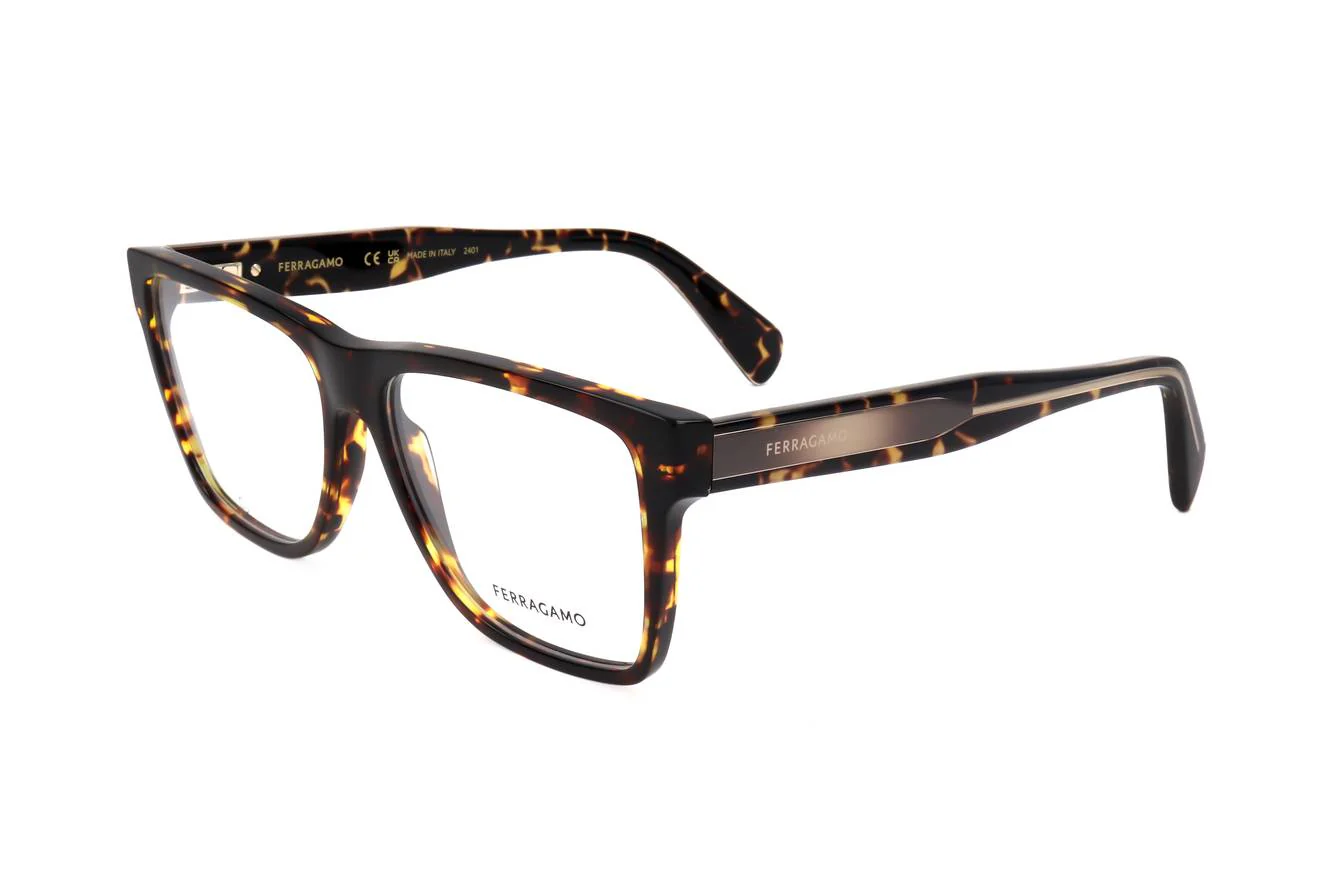 Ferragamo SF2953N 219