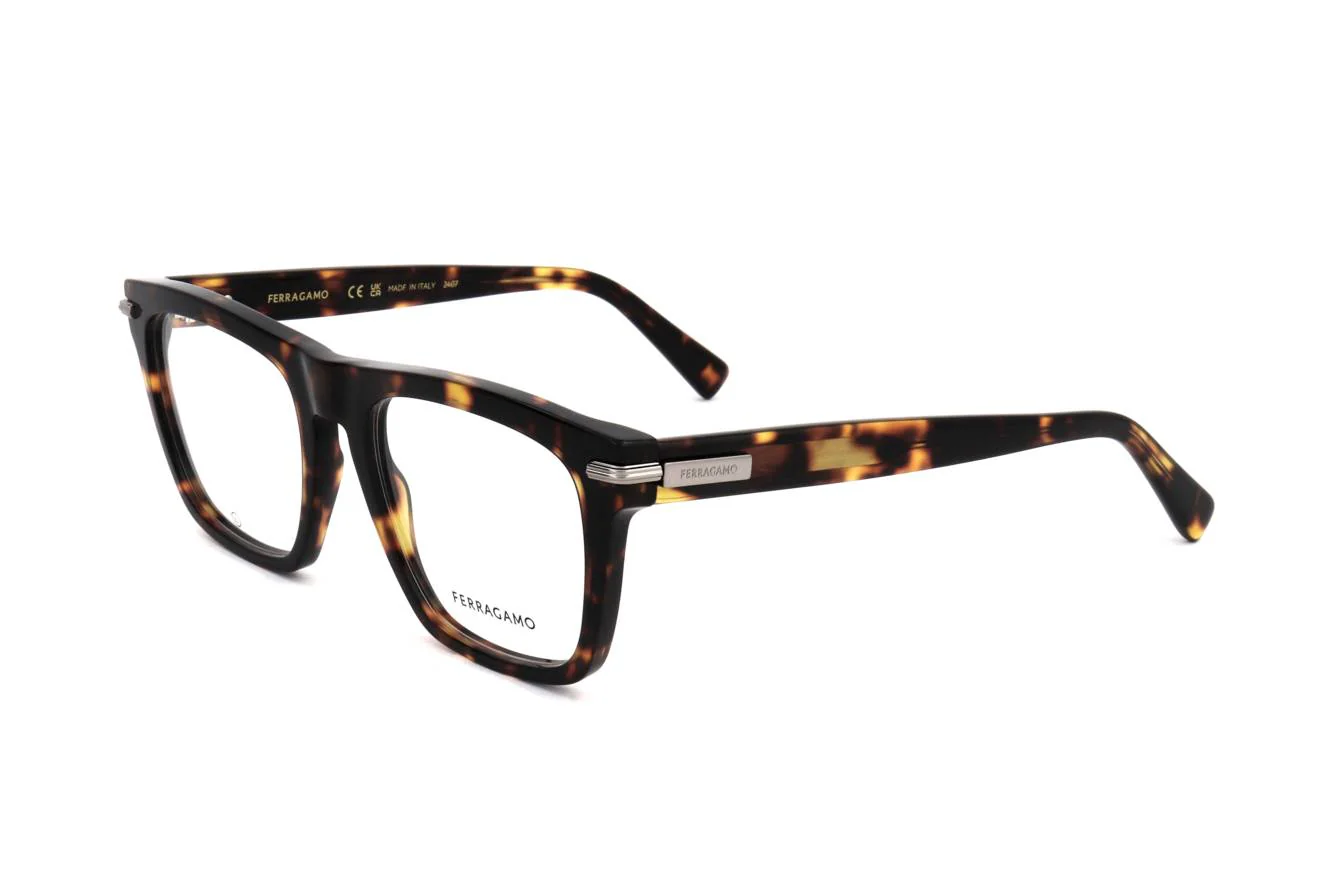 Ferragamo SF3015 242