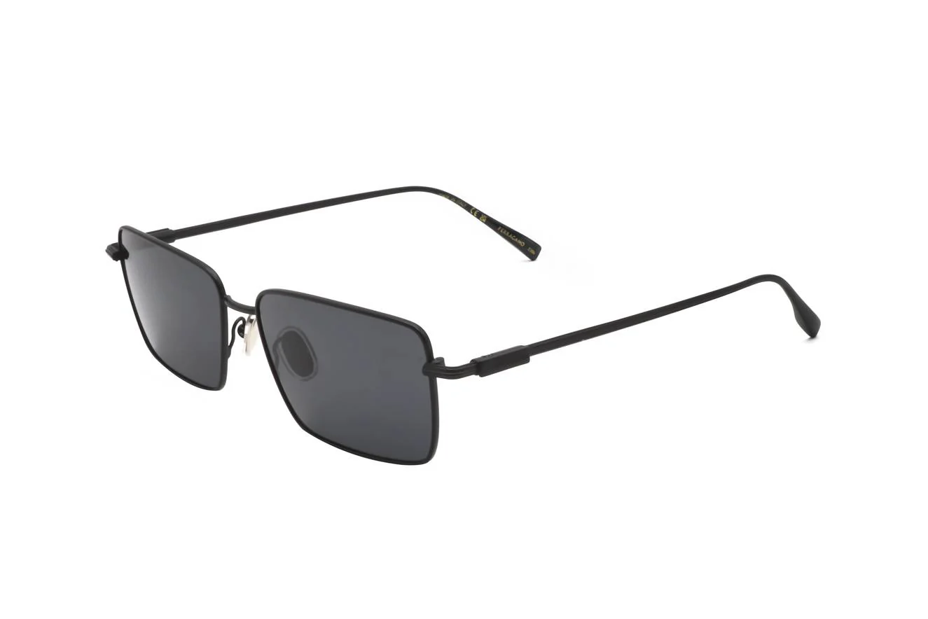 Ferragamo SF309S