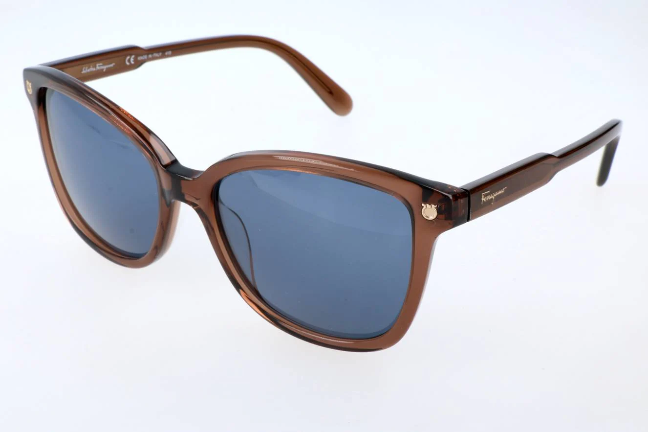 Ferragamo SF815S 210