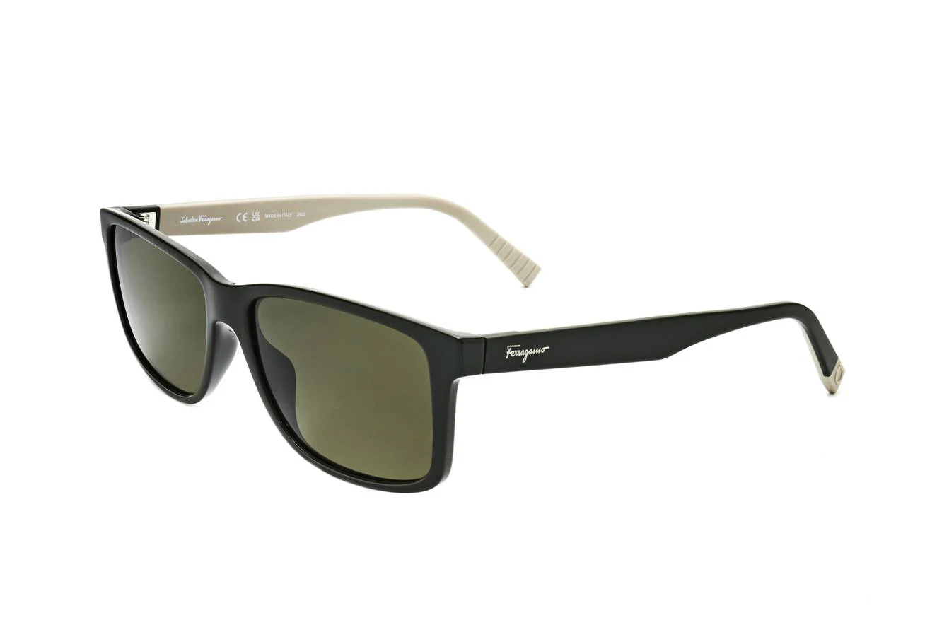 Ferragamo SF938S 338
