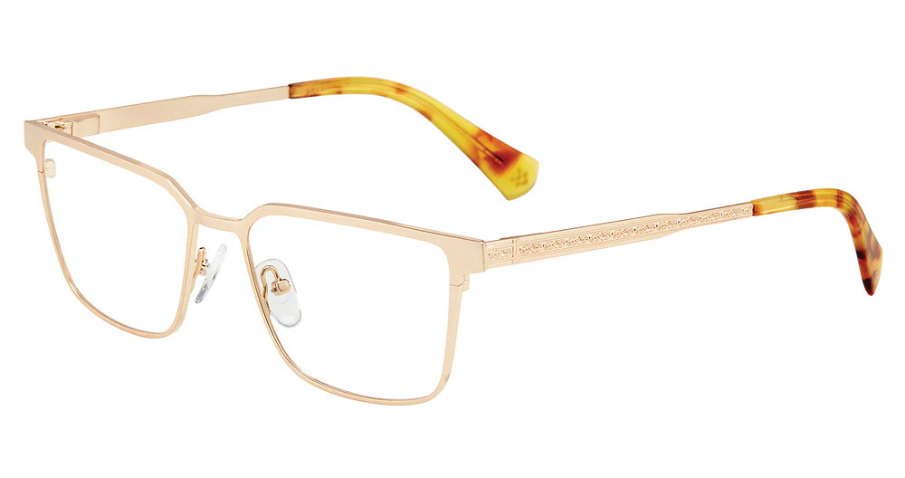 JOHN VARVATOS OPTICAL VJV197