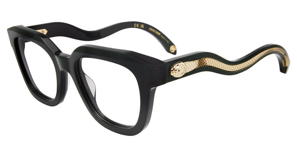 ROBERTO CAVALLI OPTICAL VRC071 - Image 2
