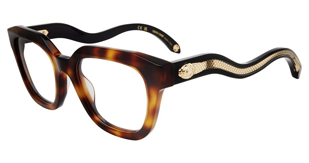 ROBERTO CAVALLI OPTICAL VRC071 - Image 3