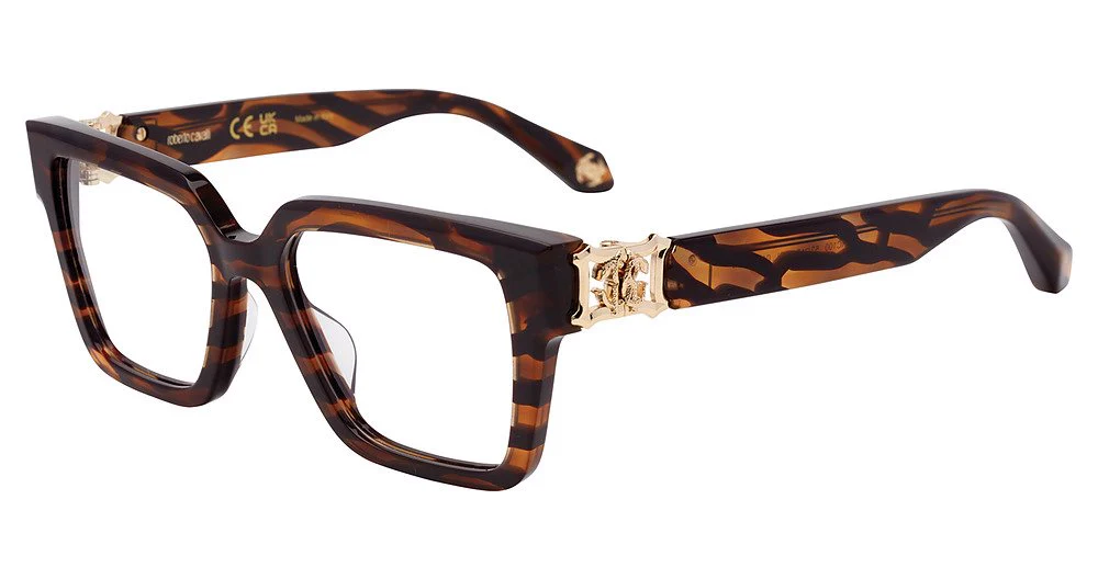 ROBERTO CAVALLI OPTICAL VRC100 - Image 3