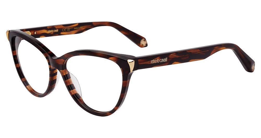 ROBERTO CAVALLI OPTICAL VRC102M - Image 4