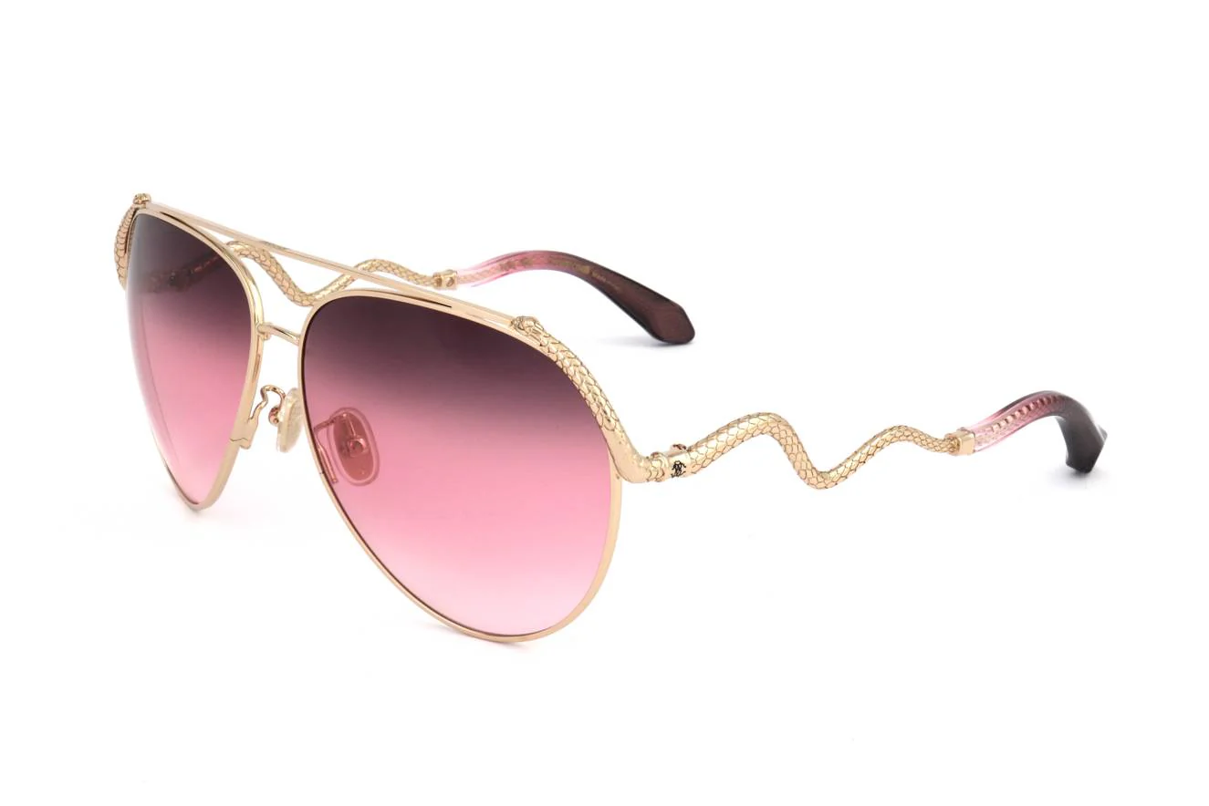 Roberto Cavalli SRC090M 300K